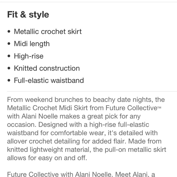 Metallic Crochet Midi Skirt - Future Collective with Alani Noelle - Picture 8 of 11